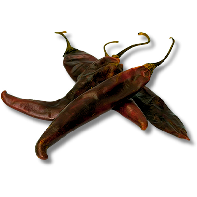 Chile Puya