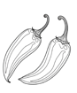 shape